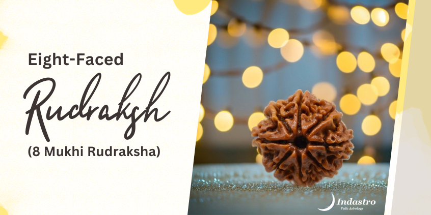 Eight-Faced Rudraksh (8 Mukhi Rudraksha)